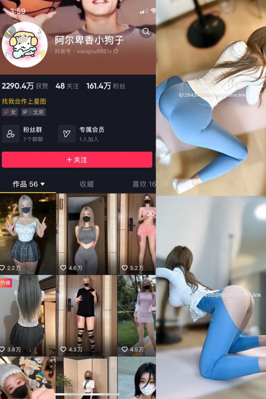 抖音 阿尔卑香小狗子 微密圈  NO.001期 【21P2V】-岛屿电鸽微密圈-全网最全抖音网红高质量总站