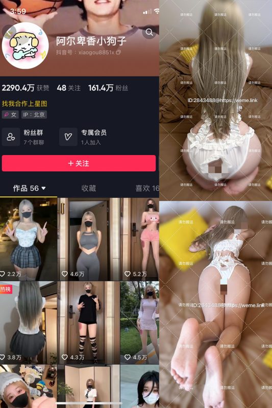 抖音 阿尔卑香小狗子 微密圈  NO.002期 【16P1V】-岛屿电鸽微密圈-全网最全抖音网红高质量总站