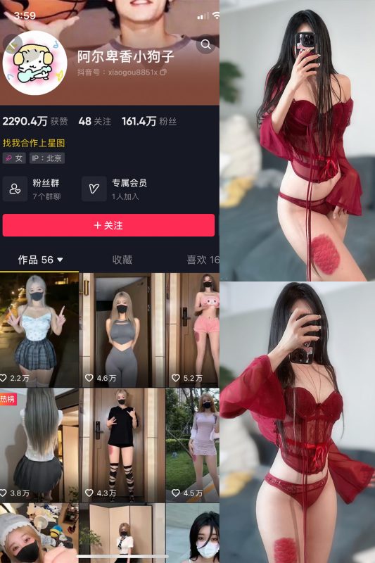 抖音 阿尔卑香小狗子 微密圈  NO.004期 【10P2V】-岛屿电鸽微密圈-全网最全抖音网红高质量总站