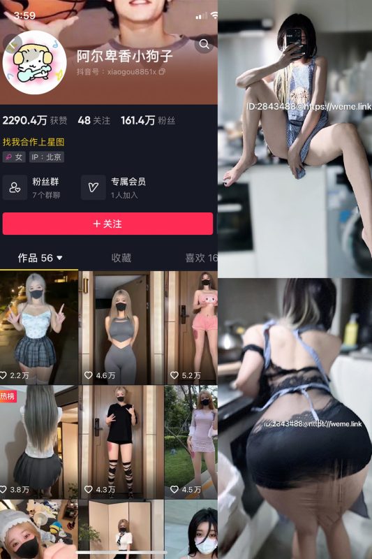 抖音 阿尔卑香小狗子 微密圈  NO.005期 【13P】-岛屿电鸽微密圈-全网最全抖音网红高质量总站