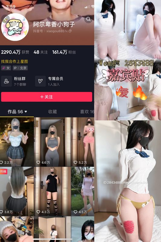 抖音 阿尔卑香小狗子 微密圈  NO.006期 【14P】-岛屿电鸽微密圈-全网最全抖音网红高质量总站