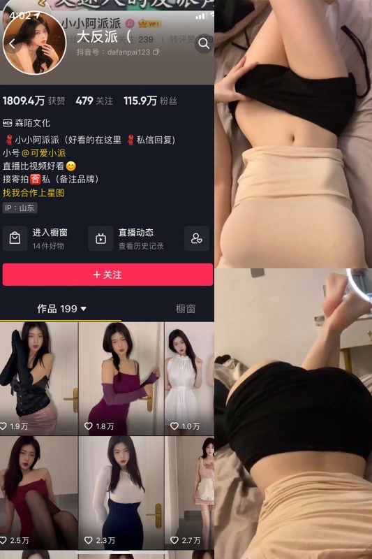 抖音 大反派 微密圈 NO.010期 【9P8V】-岛屿电鸽微密圈-全网最全抖音网红高质量总站