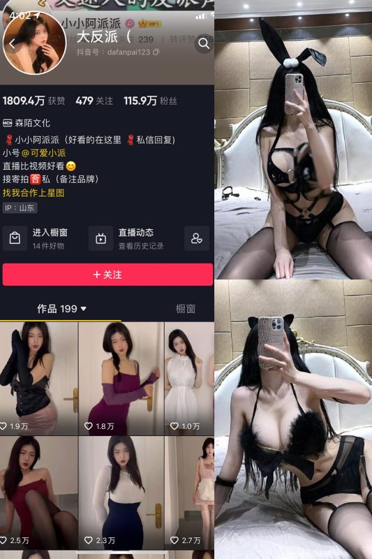 抖音 大反派 微密圈 NO.004期 【16P9V】-岛屿电鸽微密圈-全网最全抖音网红高质量总站