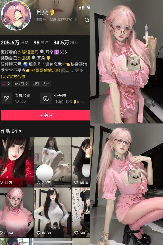 抖音 耳朵 岛遇 NO.001期 【5P13V】最新至：2025.6.6-岛屿电鸽微密圈-全网最全抖音网红高质量总站