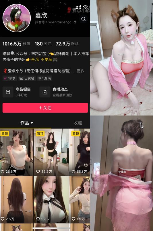 抖音 嘉欣 微密圈  NO.011 【17P4V】最新至：2025.5.12-岛屿电鸽微密圈-全网最全抖音网红高质量总站