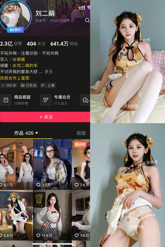 抖音 刘二萌 岛遇 NO.015期 【13P】-岛屿电鸽微密圈-全网最全抖音网红高质量总站