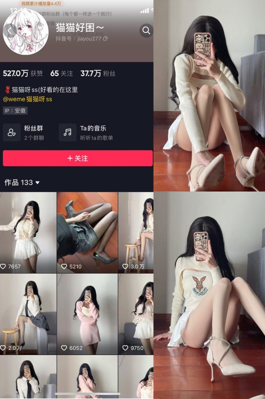 抖音 猫猫好困 微密圈  NO.010期 【23P】-岛屿电鸽微密圈-全网最全抖音网红高质量总站