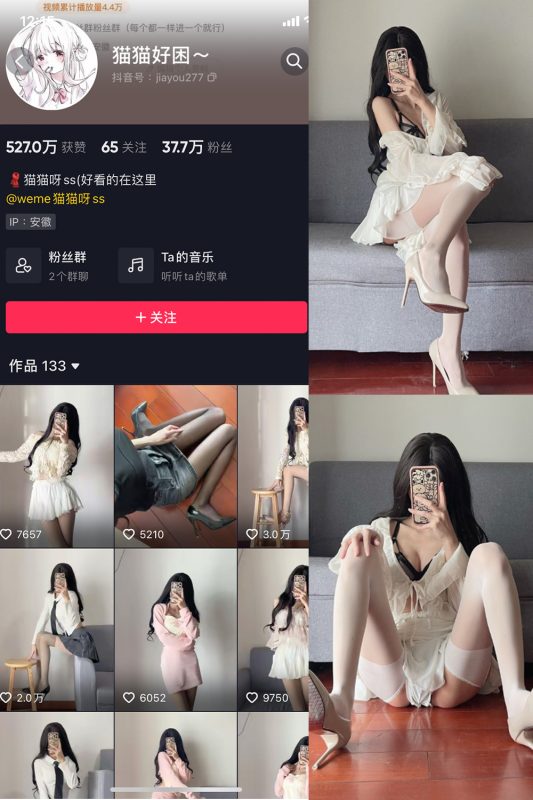 抖音 猫猫好困 微密圈  NO.013期 【13P】-岛屿电鸽微密圈-全网最全抖音网红高质量总站