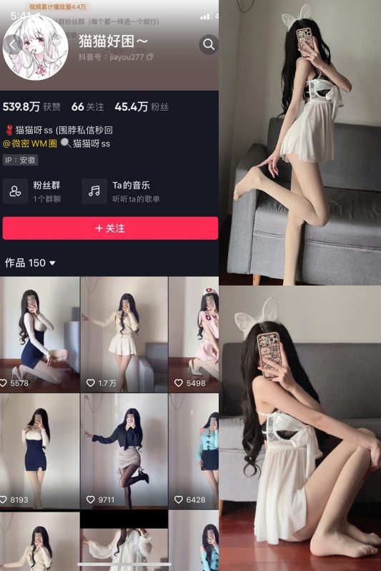 抖音 猫猫好困 微密圈  NO.018期 【22P】-岛屿电鸽微密圈-全网最全抖音网红高质量总站