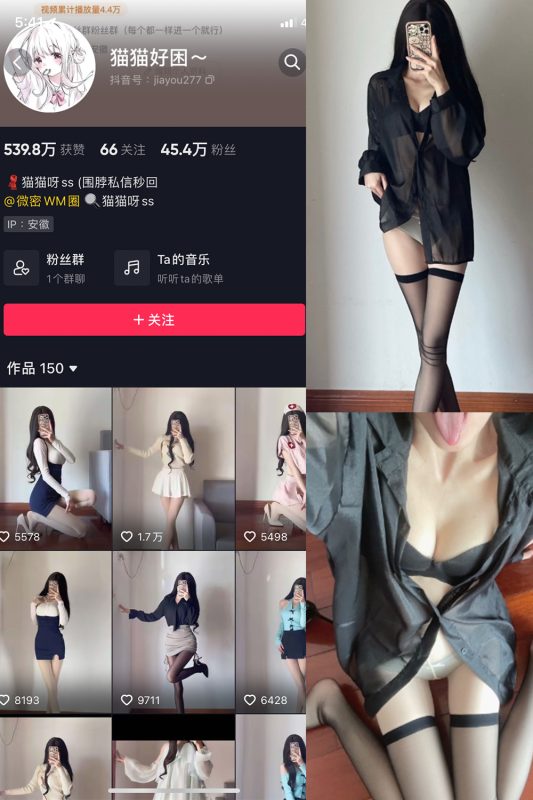 抖音 猫猫好困 微密圈  NO.021期 【22P】-岛屿电鸽微密圈-全网最全抖音网红高质量总站