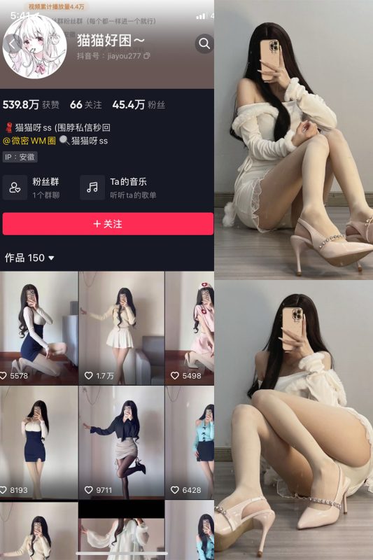 抖音 猫猫好困 微密圈  NO.030期 【81P】最新至：2024.4.29-岛屿电鸽微密圈-全网最全抖音网红高质量总站