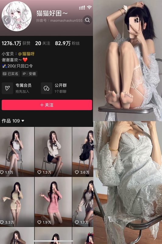 抖音 猫猫好困 微密圈  NO.044期 【4P3V】最新至：2025.4.20-岛屿电鸽微密圈-全网最全抖音网红高质量总站