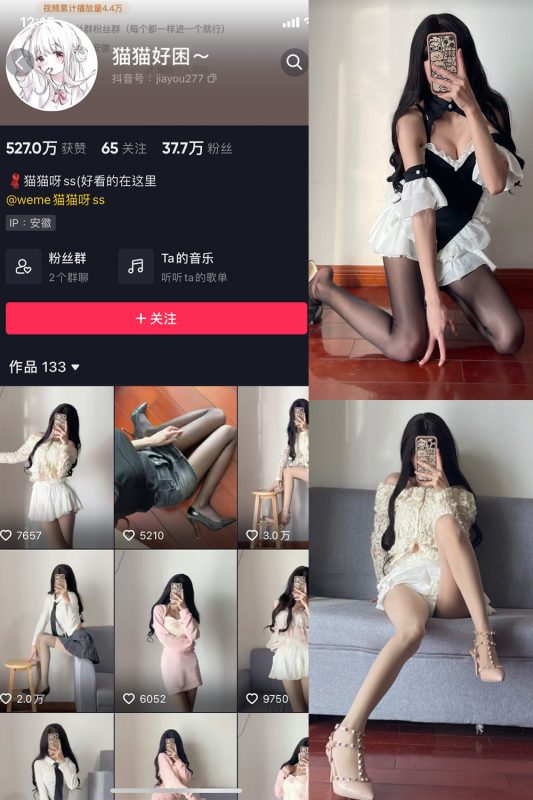 抖音 猫猫好困 微密圈  NO.005期 【53P】-岛屿电鸽微密圈-全网最全抖音网红高质量总站