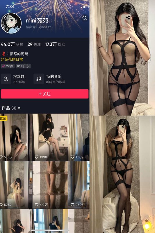 抖音 MiNi苑苑 微密圈  NO.004期 【16P】-岛屿电鸽微密圈-全网最全抖音网红高质量总站