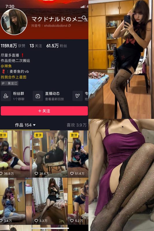 抖音 麦香鱼 微密圈 NO.004期 【5P2V】最新至：2023.7.27-岛屿电鸽微密圈-全网最全抖音网红高质量总站