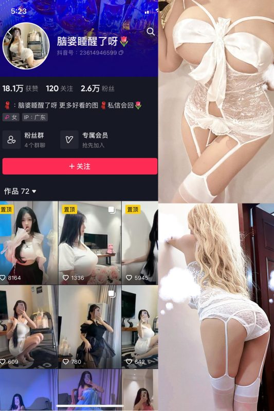 抖音 脑婆睡醒啦 微密圈  NO.009期 【12P14V】最新至：2023.12.12-岛屿电鸽微密圈-全网最全抖音网红高质量总站