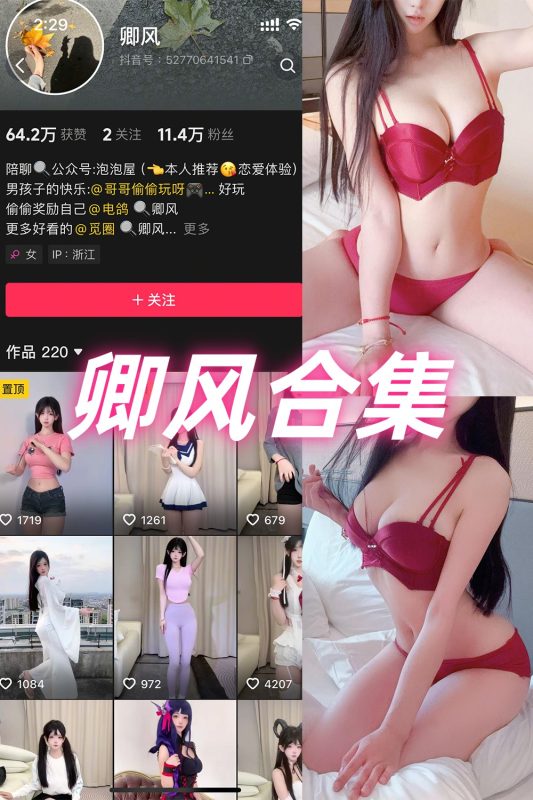 抖音 卿风 微密圈  NO.001-009期 合集-岛屿电鸽微密圈-全网最全抖音网红高质量总站