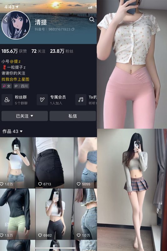 抖音 清提 微密圈  NO.004期 【17P18V】最新至：2023.11.18-岛屿电鸽微密圈-全网最全抖音网红高质量总站