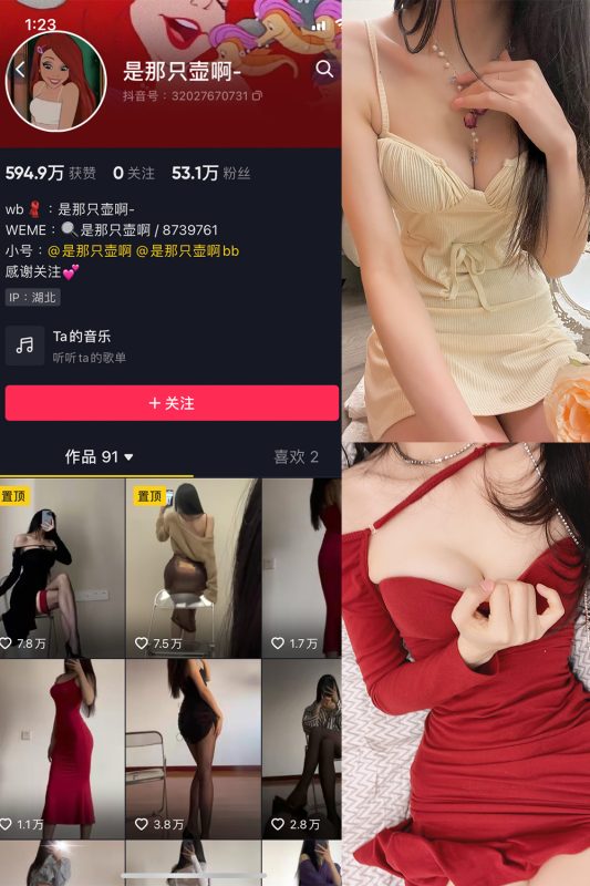 抖音 是那只壶啊 微密圈  NO.013期 【97P4V】-岛屿电鸽微密圈-全网最全抖音网红高质量总站