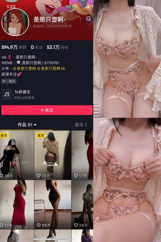 抖音 是那只壶啊 微密圈  NO.017期 【58P8V】-岛屿电鸽微密圈-全网最全抖音网红高质量总站