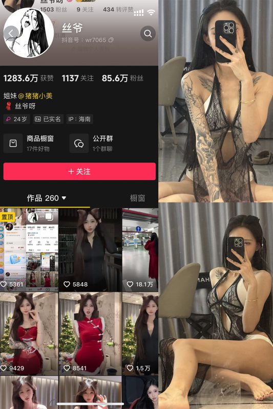 抖音 丝爷 微密圈 NO.003期 【52P4V】最新至：2024.12.13-岛屿电鸽微密圈-全网最全抖音网红高质量总站