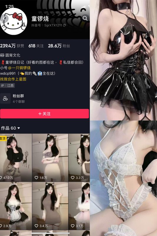 抖音 童锣烧 微密圈  NO.004期 【20P5V】-岛屿电鸽微密圈-全网最全抖音网红高质量总站