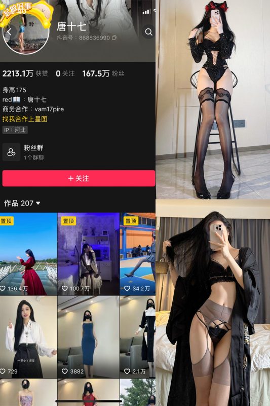 抖音 唐十七 微密圈 NO.037期 【28P】最新至：2024.11.25-岛屿电鸽微密圈-全网最全抖音网红高质量总站