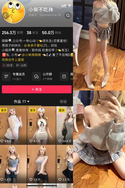 抖音 小柴不吃辣 微密圈  NO.003期 【27P】-岛屿电鸽微密圈-全网最全抖音网红高质量总站