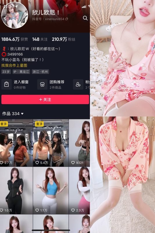 抖音 欣儿欧尼 微密圈  NO.014期 【21P2V】最新至：2024.9.17-岛屿电鸽微密圈-全网最全抖音网红高质量总站