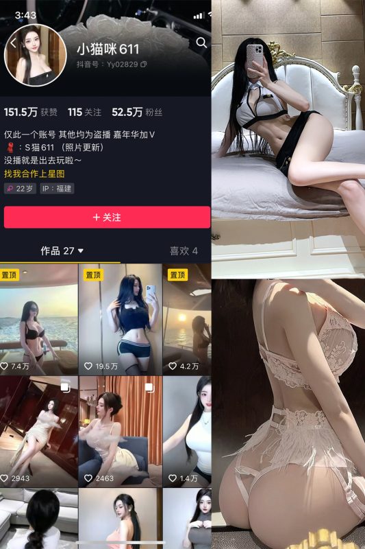 抖音 小猫咪611 微密圈  NO.001期 【21P】-岛屿电鸽微密圈-全网最全抖音网红高质量总站