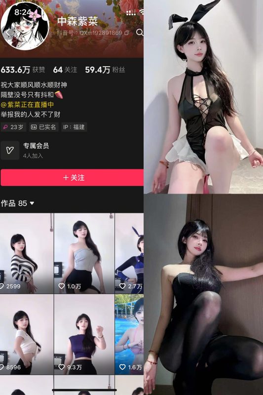 抖音 中森紫菜 岛遇 NO.004期 【8P9V】最新至：2025.7.13-岛屿电鸽微密圈-全网最全抖音网红高质量总站