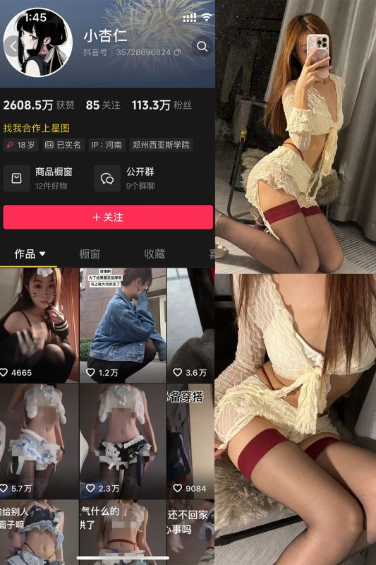 抖音 小杏仁 微密圈  NO.003 【53P2V】-岛屿电鸽微密圈-全网最全抖音网红高质量总站