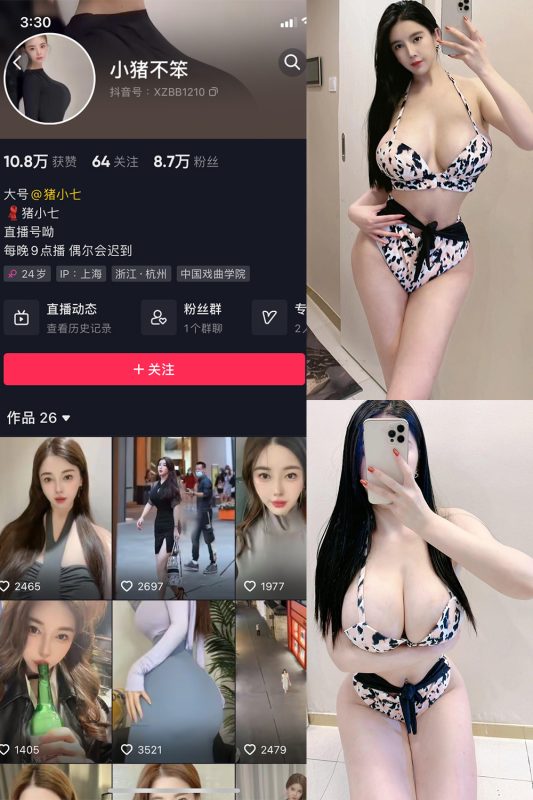 抖音 小猪不笨 微密圈 NO.004期 【88P24V】-岛屿电鸽微密圈-全网最全抖音网红高质量总站