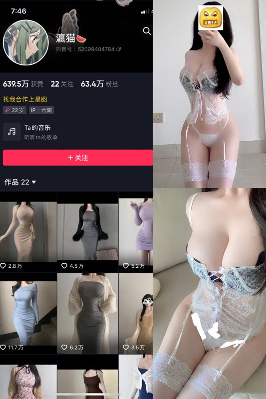 抖音 瀛猫 微密圈  NO.058期 【32P3V】最新至：2024.11.11-岛屿电鸽微密圈-全网最全抖音网红高质量总站