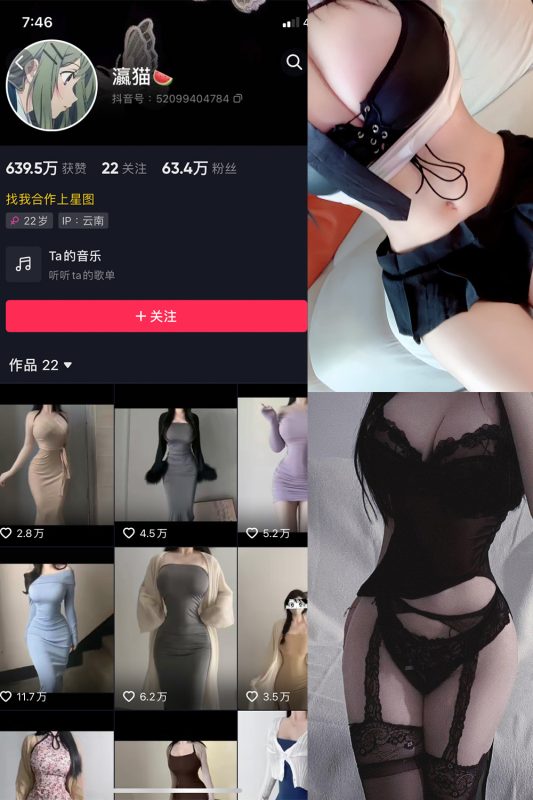 抖音 瀛猫 微密圈  NO.017期 【10P20V】最新至：2023.10.11-岛屿电鸽微密圈-全网最全抖音网红高质量总站