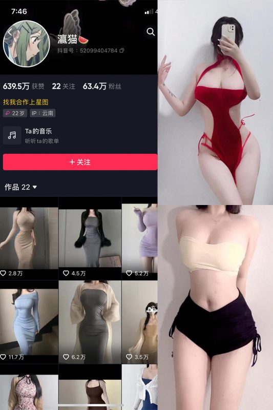 抖音 瀛猫 微密圈  NO.003期 【15P15V】-岛屿电鸽微密圈-全网最全抖音网红高质量总站
