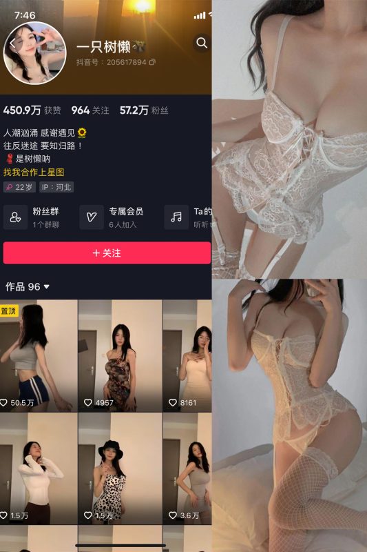 抖音 一只树懒 微密圈  NO.002期 【21P5V】最新至：2023.6.30-岛屿电鸽微密圈-全网最全抖音网红高质量总站