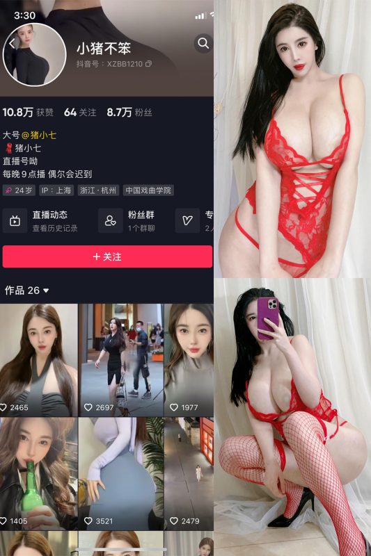 抖音 小猪不笨 微密圈 NO.008期 【102P12V】最新至：2024.6.12-岛屿电鸽微密圈-全网最全抖音网红高质量总站