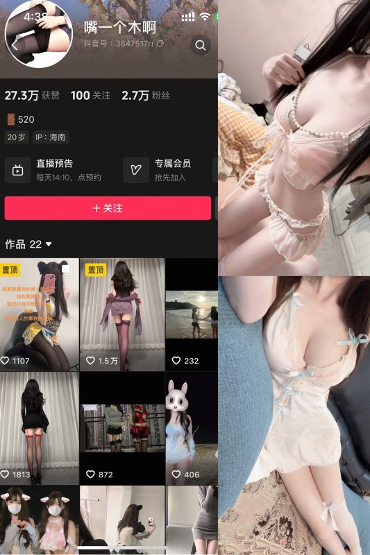 抖音 嘴一个木啊 微密圈  NO.003 【10P14V】最新至：2025.5.24-岛屿电鸽微密圈-全网最全抖音网红高质量总站
